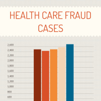 Infographic: Health Care Fraud Cases | infogr.am
